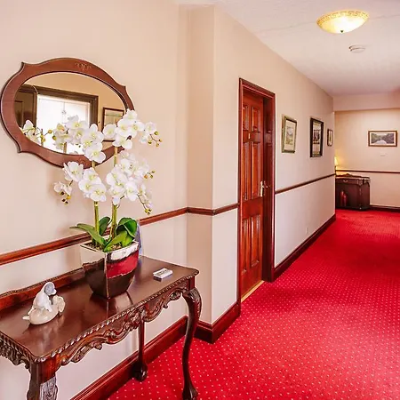 The Harp Bed & Breakfast Killarney