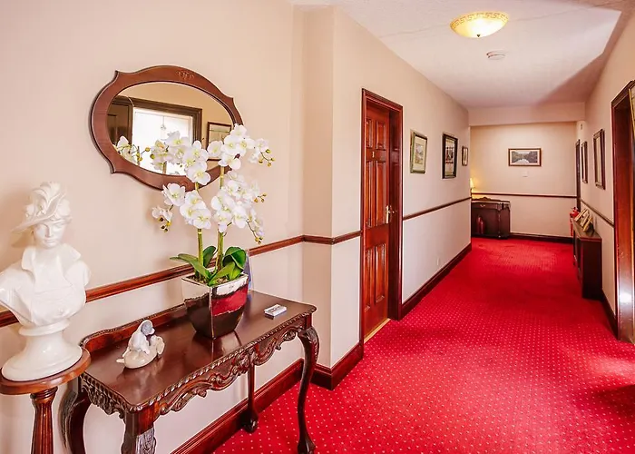 The Harp Bed & Breakfast Killarney