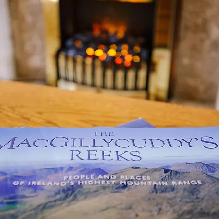 فندق مبيت وإفطار The Harp كيلارني